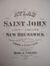 Roe & Colby's 1875 atlas of Saint John and county